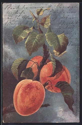 Lithographie artiste frères - lithographie, d'artiste