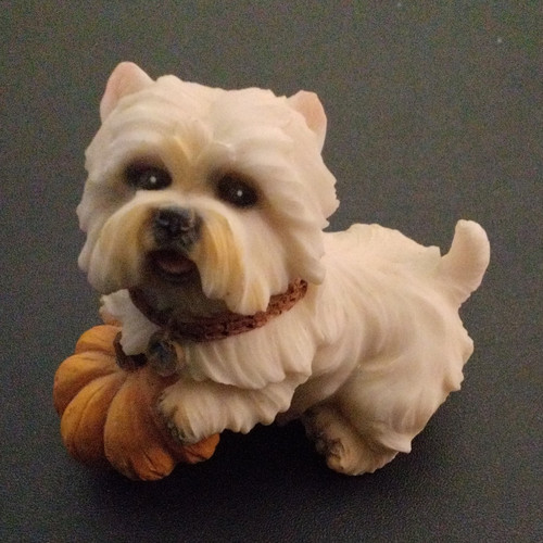 West highland white - west, terrier