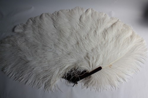 Ancien grand éventail plumes - grand,