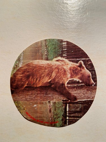 Image autocollant sticker - image,