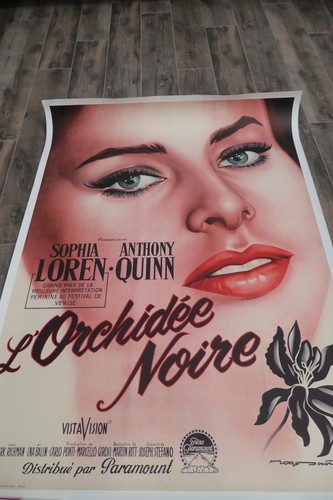 Affiche orchidée noire - l'orchidée,