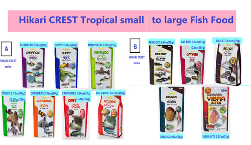 Hikari crest tropical petit - hikari, à