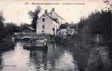 45* MEUNG S/LOIRE   le moulin de la nivelle         RL58,0252