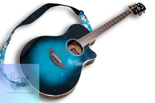 Guitare acoustique électrique
