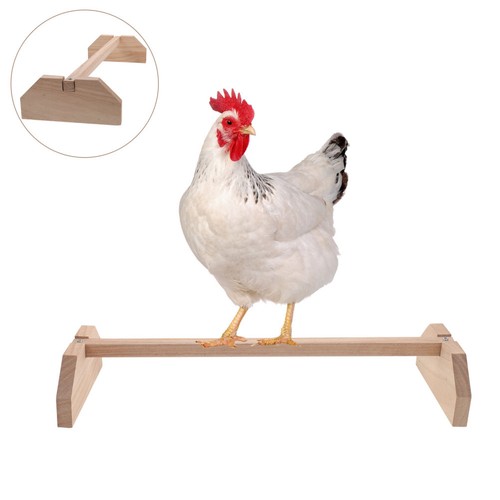 Perchoir poule intérieur - perchoir,