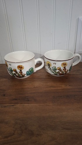 Two villeroy boch tea - two, &