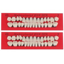 56 Pièces Dents en Résine