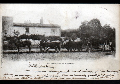 Issoire attelage ane - (63), d'ane
