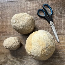 3 Antique Stone French