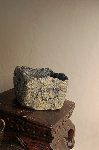 Pot caudex bonsaï succulente - caudex,