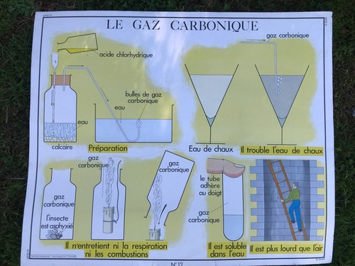 Carte scolaire pédagogique - carte,