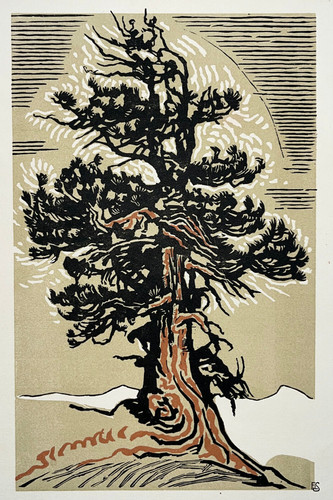 Arbre gravure bois françois - arbre,
