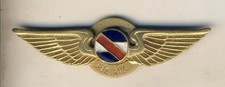 Rare brevet pilote uruguay - brevet,