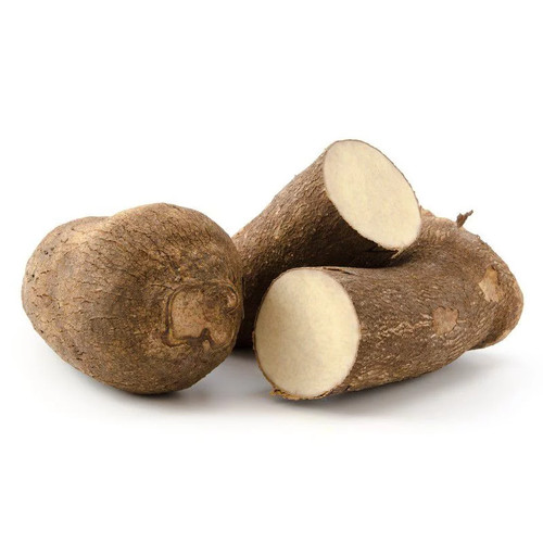 Dioscorea batatas igname de - batatas,