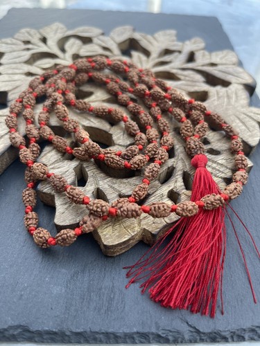 Mala mukhi rudraksha - mukhi,