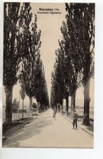 WISSEMBOURG Weissenburg Bas Rhin Alsace CPA 67 historische Pappelallen