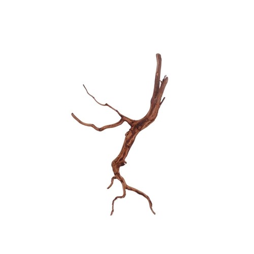Aquarium racine déco red - aquarium,