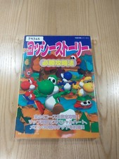 365 Yoshi Story Strategy 4
