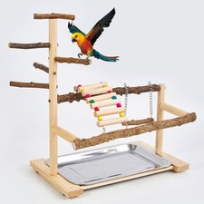 Aire de jeux pour perruches