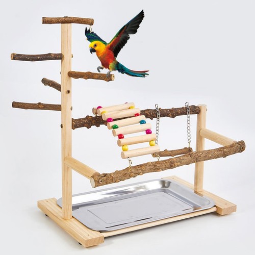 Aire jeux pour perruches - pour,