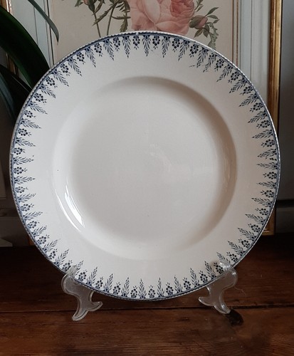 Plat sarreguemines alger 31 - sarreguemines,