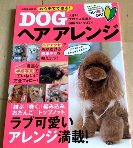 Occasion petit chien - occasion,