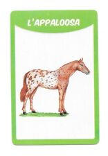 Carte 50 races de chevaux - L'appaloosa