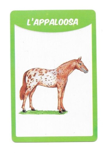 Carte races chevaux - carte, 50