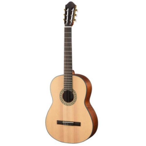 Walden n550e acoustic guitar - acoustic,