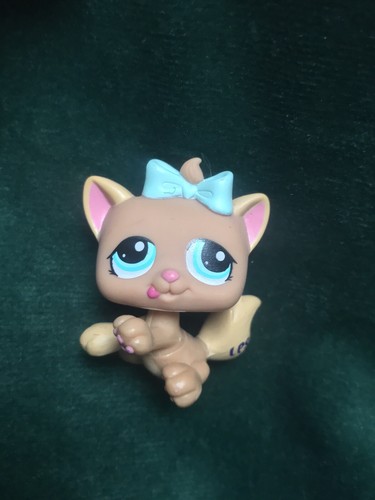 Petshop chaton 1335 - 💖petshop,