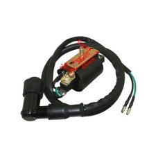 Bobine D'allumage Pour Pit Dirt Motor Bike ATV Quad 50cc 70cc 90cc 110cc 125cc