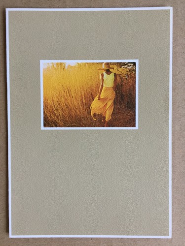 Carte postale double david - carte,