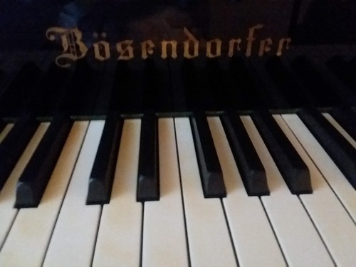 Bosendorfer grand piano model - grand,