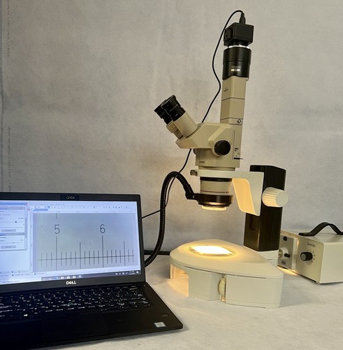 Olympus stereo zoom microscope - olympus,