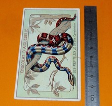 CHROMO CHOCOLAT AIGUEBELLE 1900-1914 LES REPTILES SERPENT BOA CONSTRICTOR