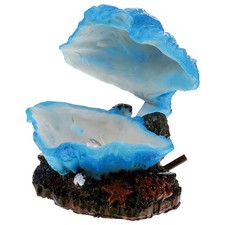  Coquillages Décoratifs