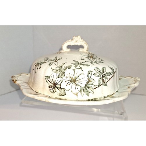 Antique john edwards azalea - antique,