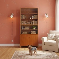 Bibliothèque Vintage Plaquée