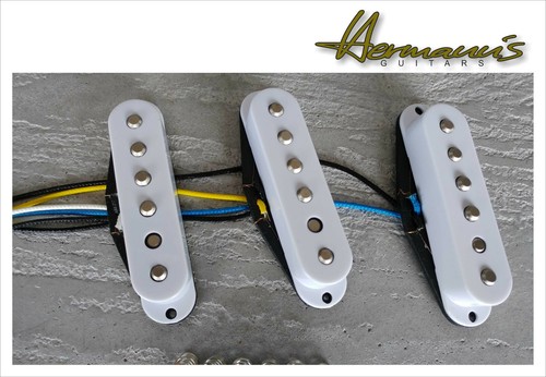 Ensemble micros alnico 2 - micros,