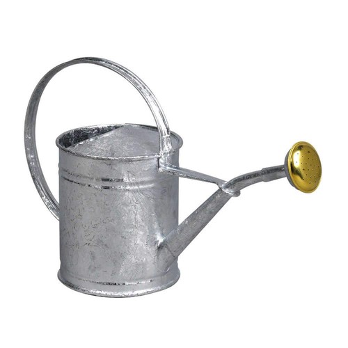 80300 petit arrosoir acier - petit,
