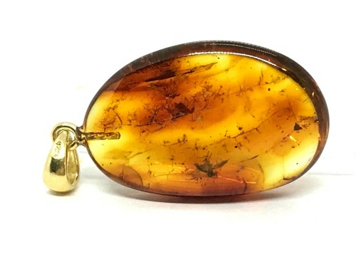 Pendentif ambre cadeau insecte - pendentif,