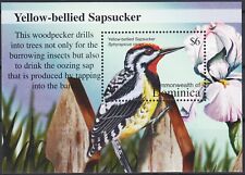 Dominique 2002 Pivert Oiseaux