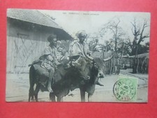 CPA  Sénégal    boeufs porteurs   N° 123  Fortier