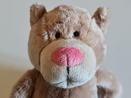 Nici peluche ours - -, 25