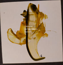 Tableau Art  Abstrait expressionnisme cire Signé Abstract Signed Artwork 13x13