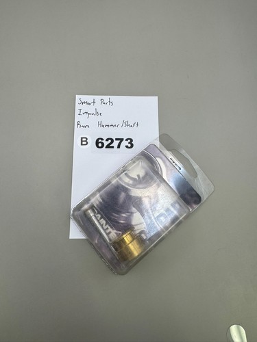 Smart parts ion ram - ion,