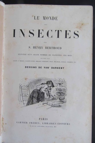 Monde des insectes - insectes,