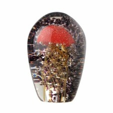  BEAU SULFURE MEDUSE ORANGE