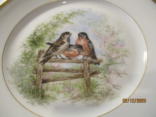 Limoges assiette 1900 peinte - assiette,