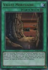 Carte Yu Gi Oh Vallée